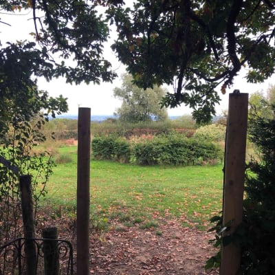 Wild Meadow Boarding Kennels