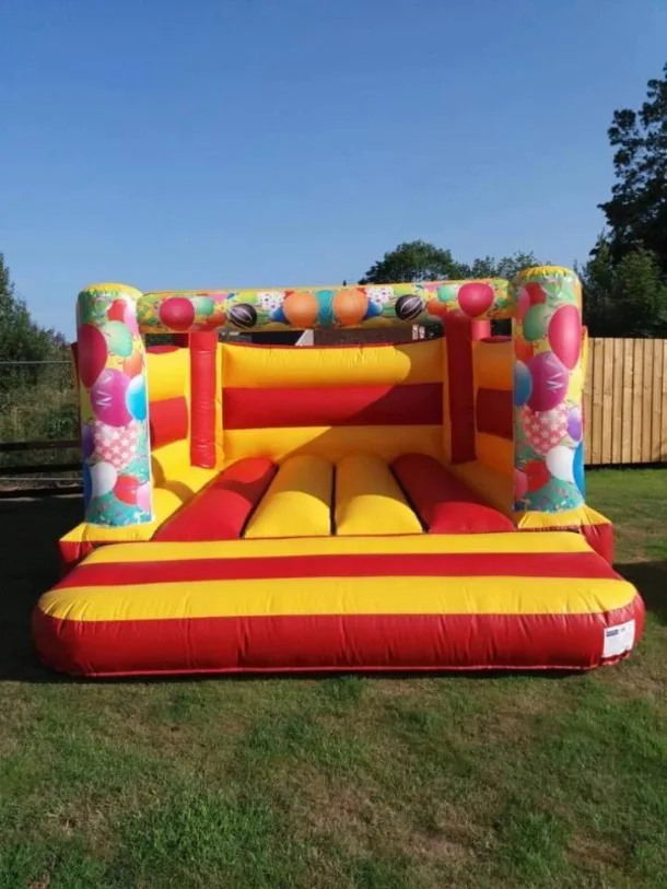 Party Theme Bouncy Castle