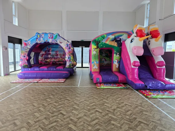 3d Unicorn Twin