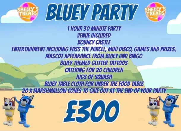 Bluey Party