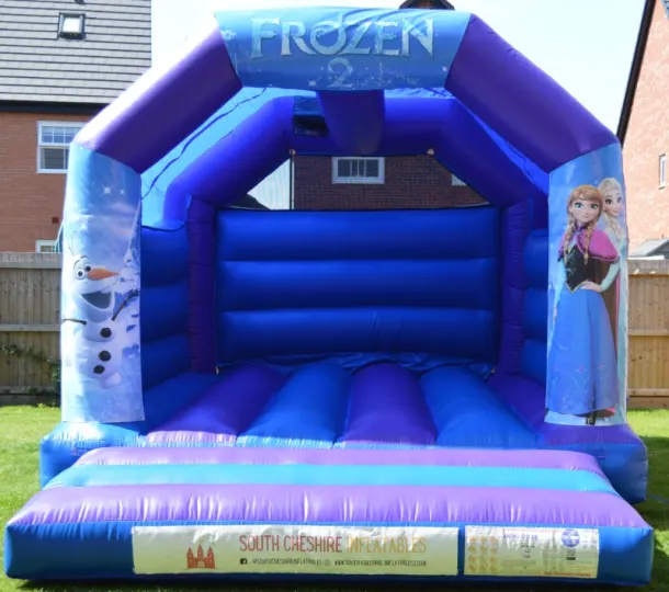 Frozen Castle 12ft X 15ft Purple And Blue