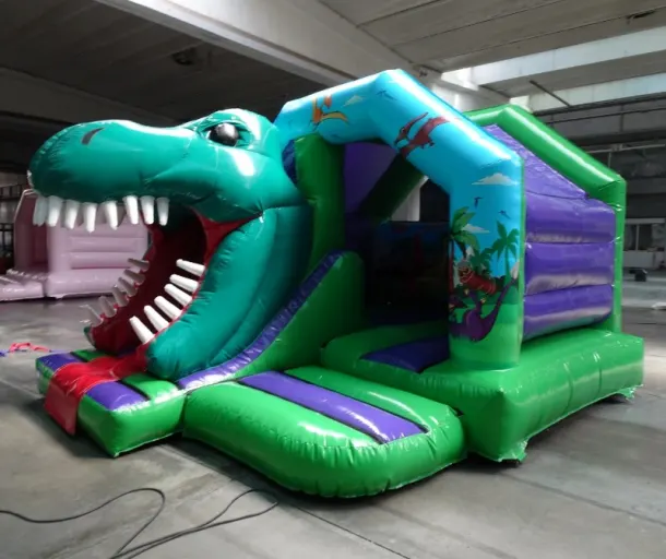 3d Dinosaur Front Slide Castle