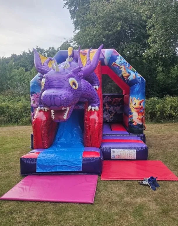 3d Dragon Slide Combi