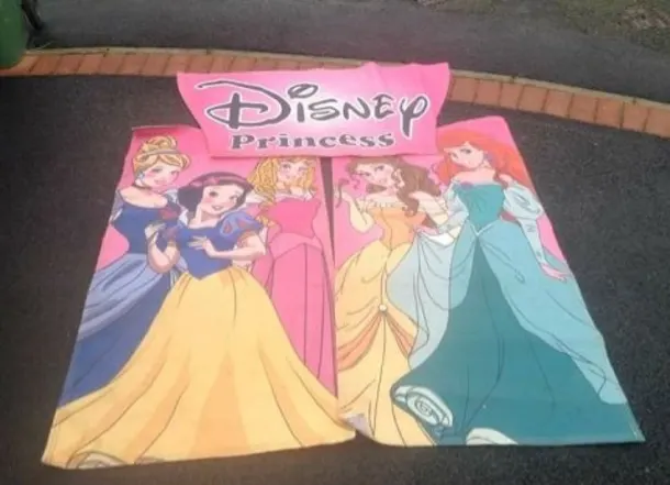 Disney Princess Artwork