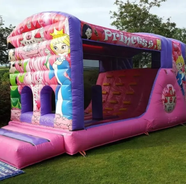 Pink Fun Run Princess 28ftx11ft