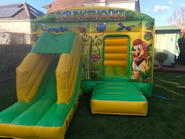 Jungle Bouncy And Slide