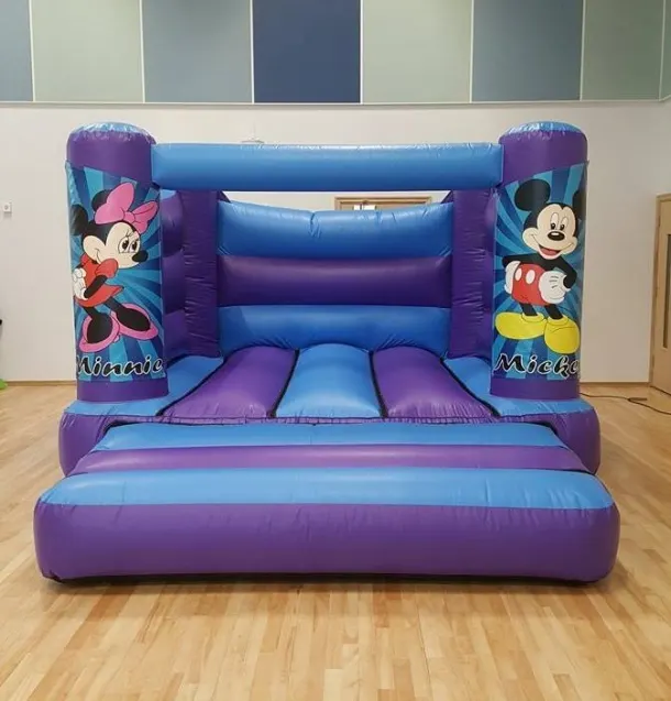 Indoor Minnie And Mickey Castle