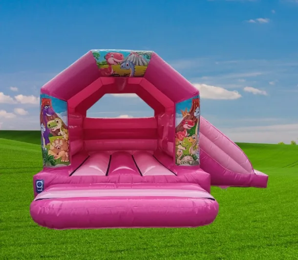 Pink Themed Side Slide- Dinosaur