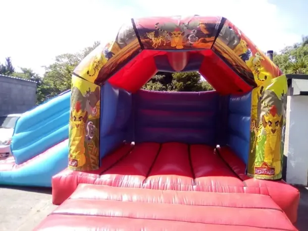 Lion Guard Castle With Slide