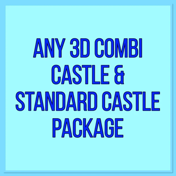 3d Castle And Standard Castle