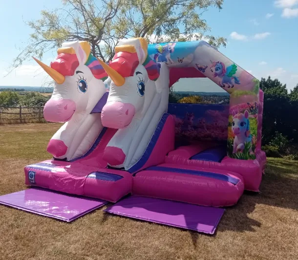 Unicorn 3d Front Slide Combo