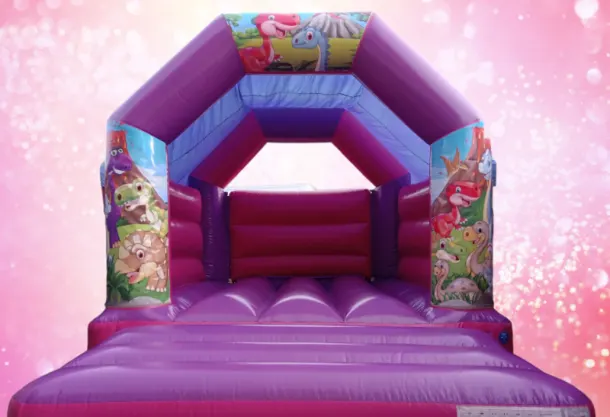 Pink Purple Bouncy Castle 11x15 Dinosaur Theme