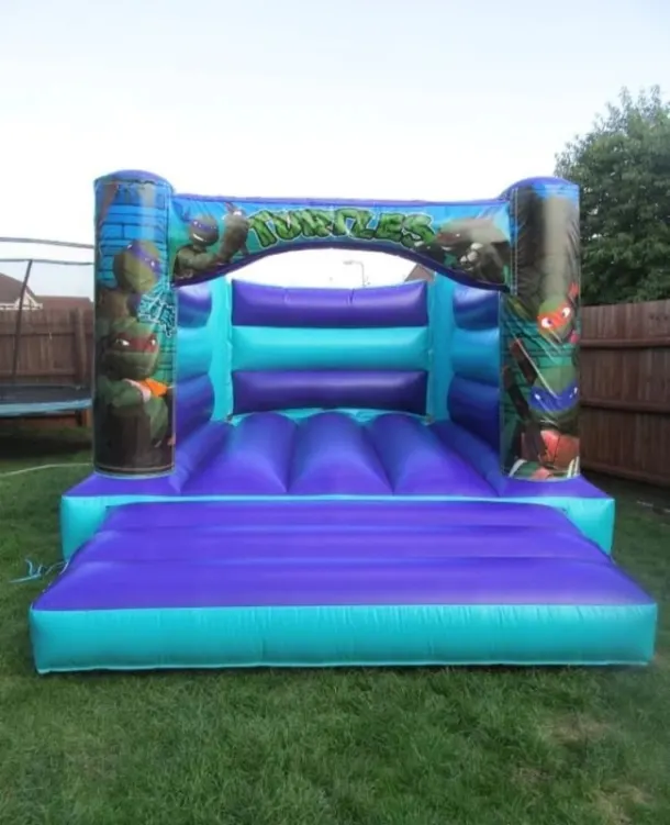 Aqua Turtles H Style Bouncy Castle