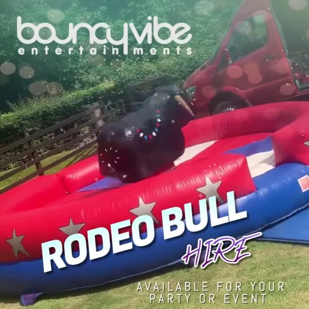 Rodeo Bull