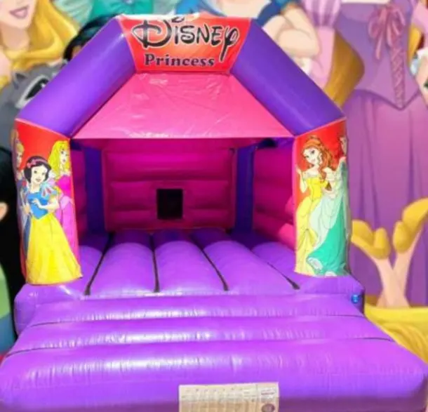 Disney Princess Themed Pink And Purple Castle