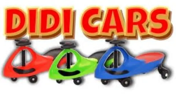 Didi Cars X 5