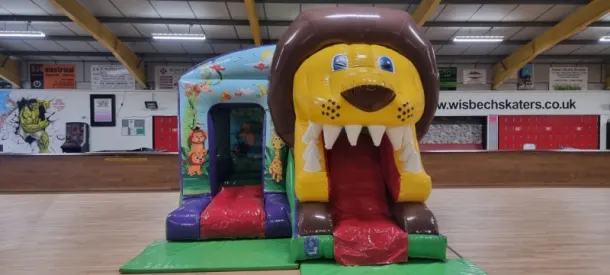 3d Lion Slide Bouncy Castle