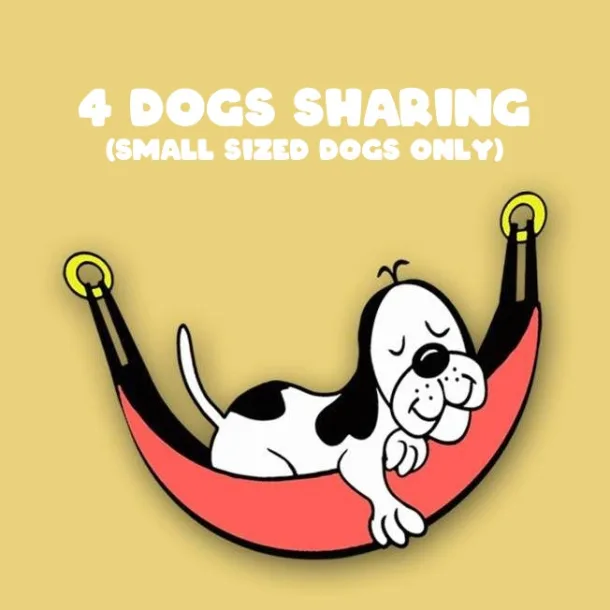 4 Dogs Sharing - Small Sized Dogs