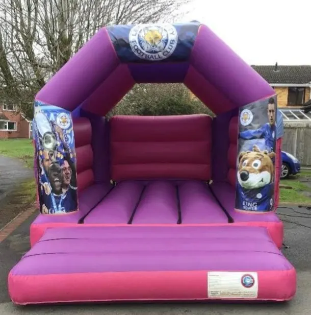 11 X 15ft Pink Lcfc
