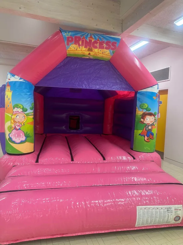 Pink Princess Bouncy Castle