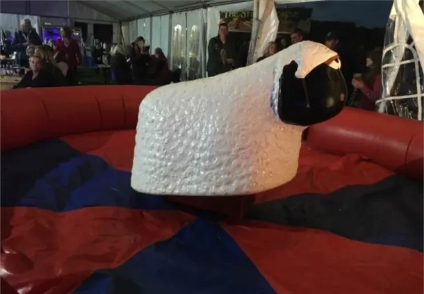 Rodeo Sheep