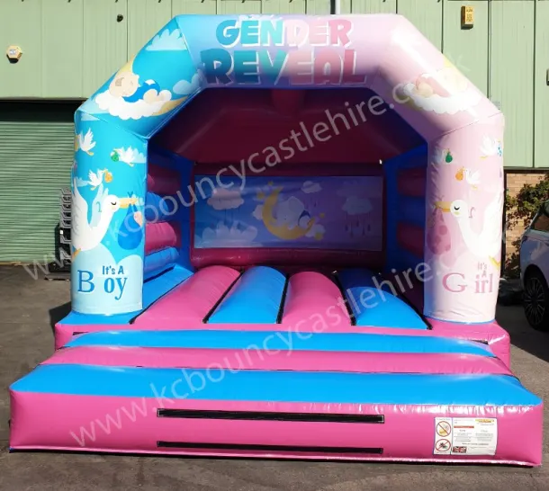 Gender Reveal Bouncy Castle For Hire In Liverpool