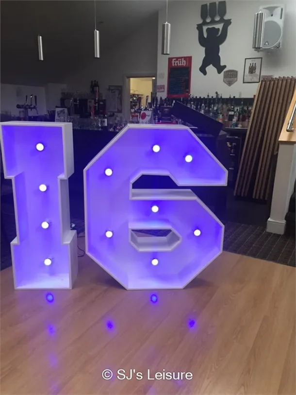 Led 16 Numbers