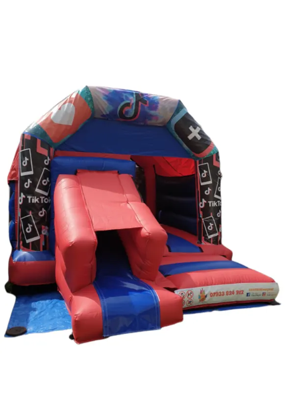 Tiktok Slide Bouncy Castle