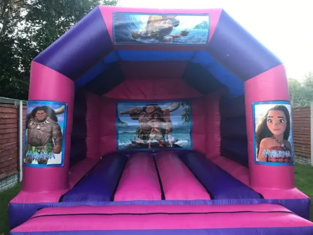 15ft X 12ft Pink And Purple Castle - Moana Theme