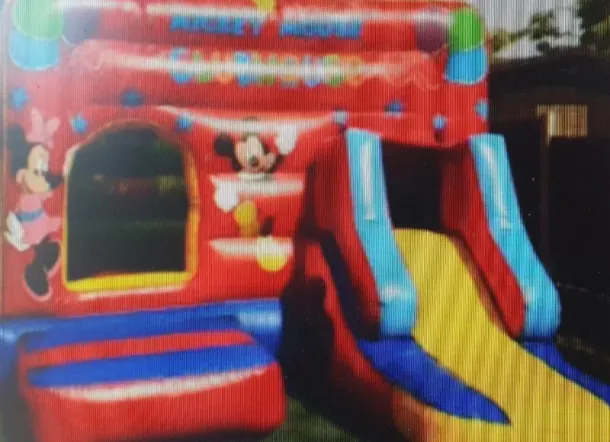 Mickey Mouse Front- Slide