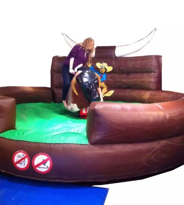 Rodeo Bull Hire