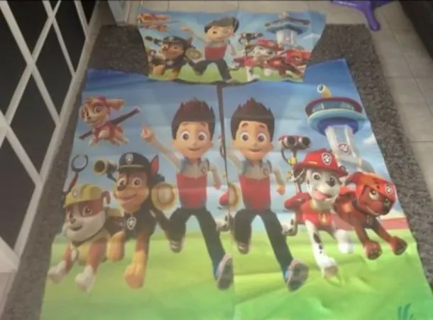 Paw Patrol Artwork