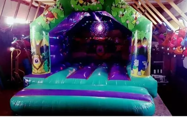 12x15 Disco Jungle Bouncy Castle With Light And Speaker