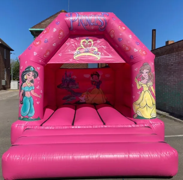 New Pink Princess Themed Bouncy Castle