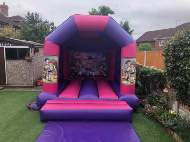 12ft X 12ft Pink And Purple - Toy Story Theme