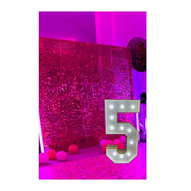 Pink Sequin Backdrop With Light Up Numbers