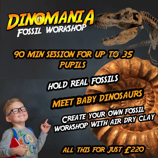 Fossil Workshop