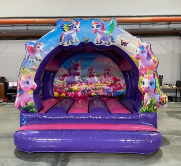 Kids Bouncy Castle 2