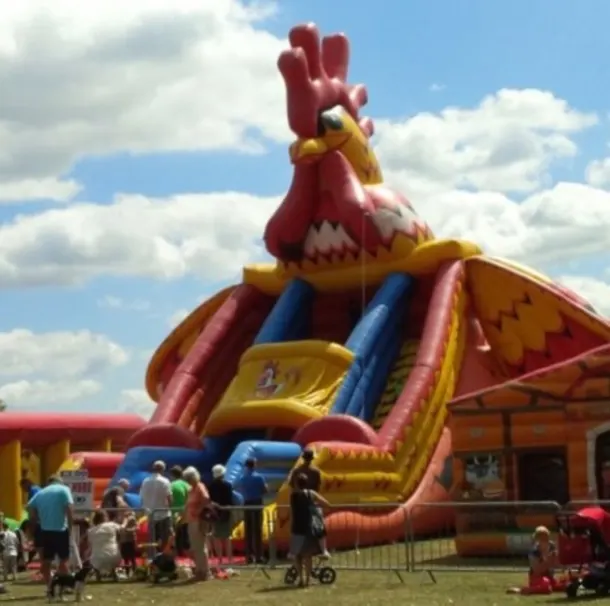 Giant Rooster Slide