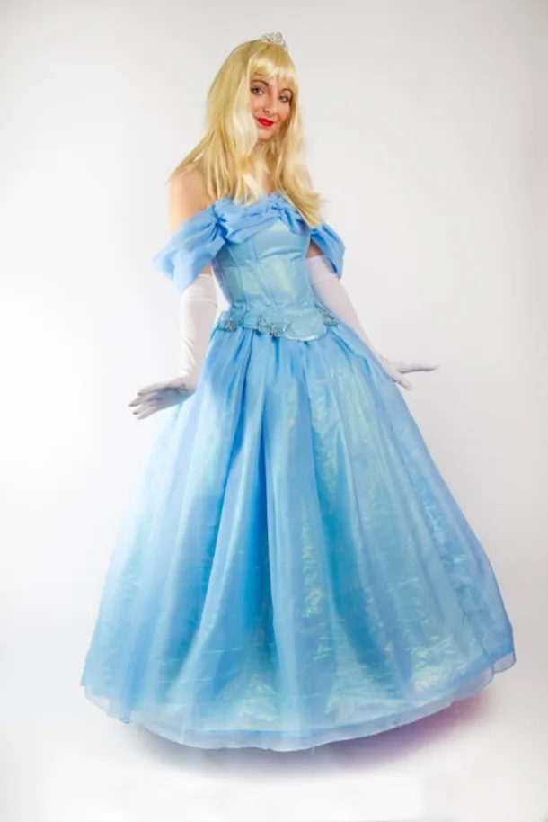 Cinderella Costume