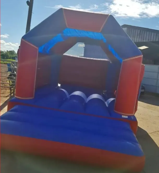 Red And Blue Bouncy Castle