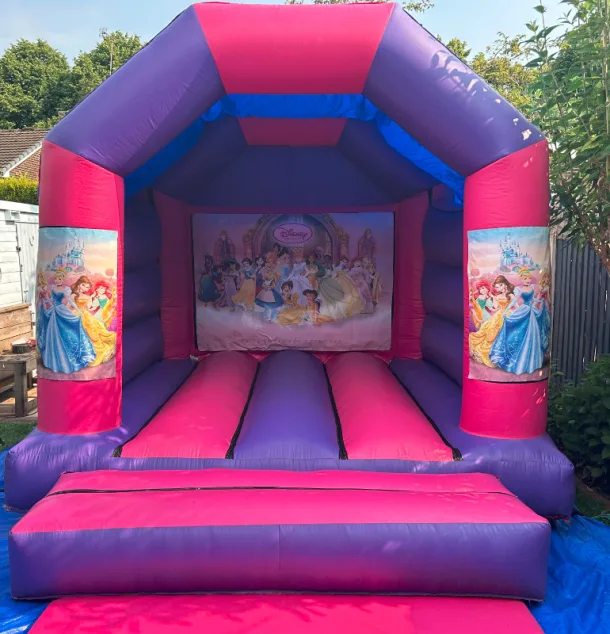 12ft X 12ft Pink And Purple - Princess New Theme