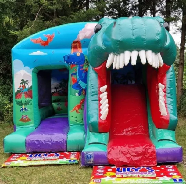 3d Dinosaur Slide