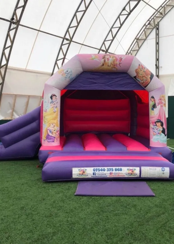 Pink And Purple Disney Princess Side Slide Castle