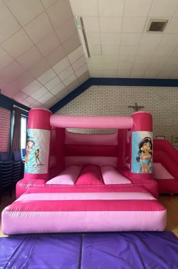 Princess Combi Castle Hire