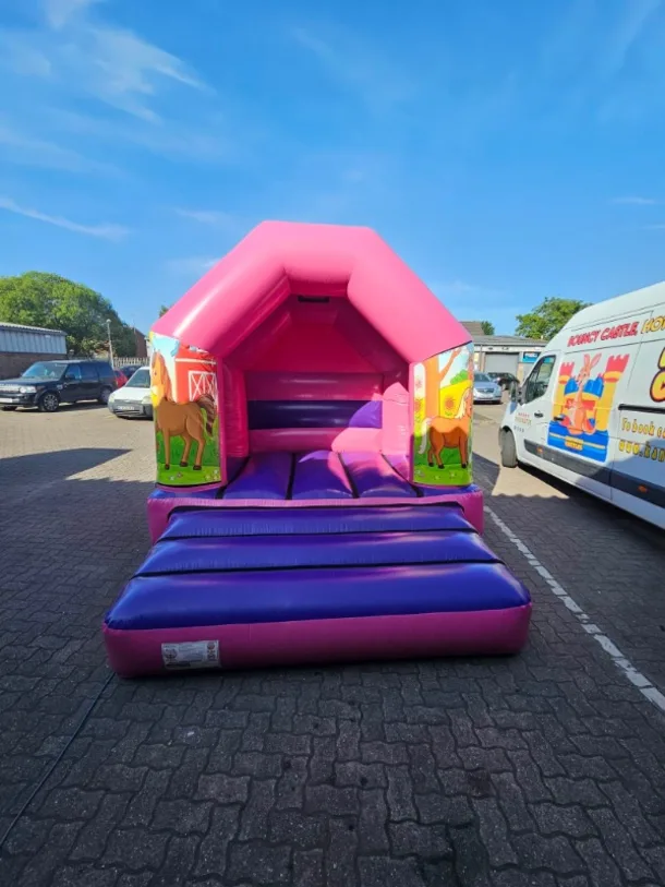 Horses 10 X 12 Pink And Purple Disco Bouncy Castle