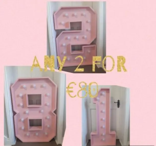 2 Pink 4ft Leds