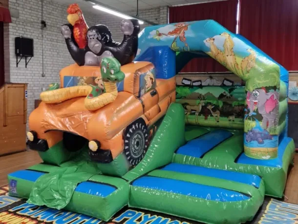 3d Jungle Party Package