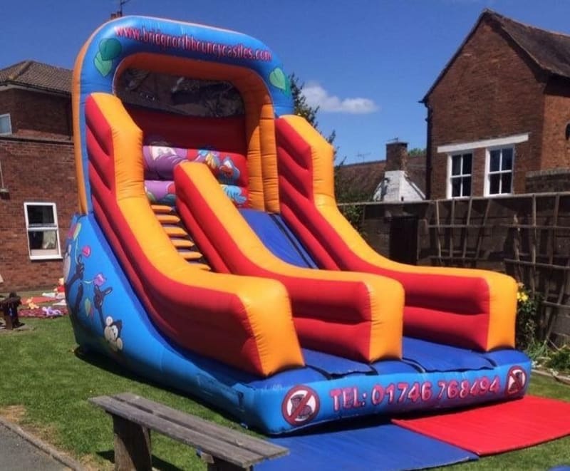 inflatable-animal-slide-bridgnorth-bouncy-castles-and-soft-paly-hire