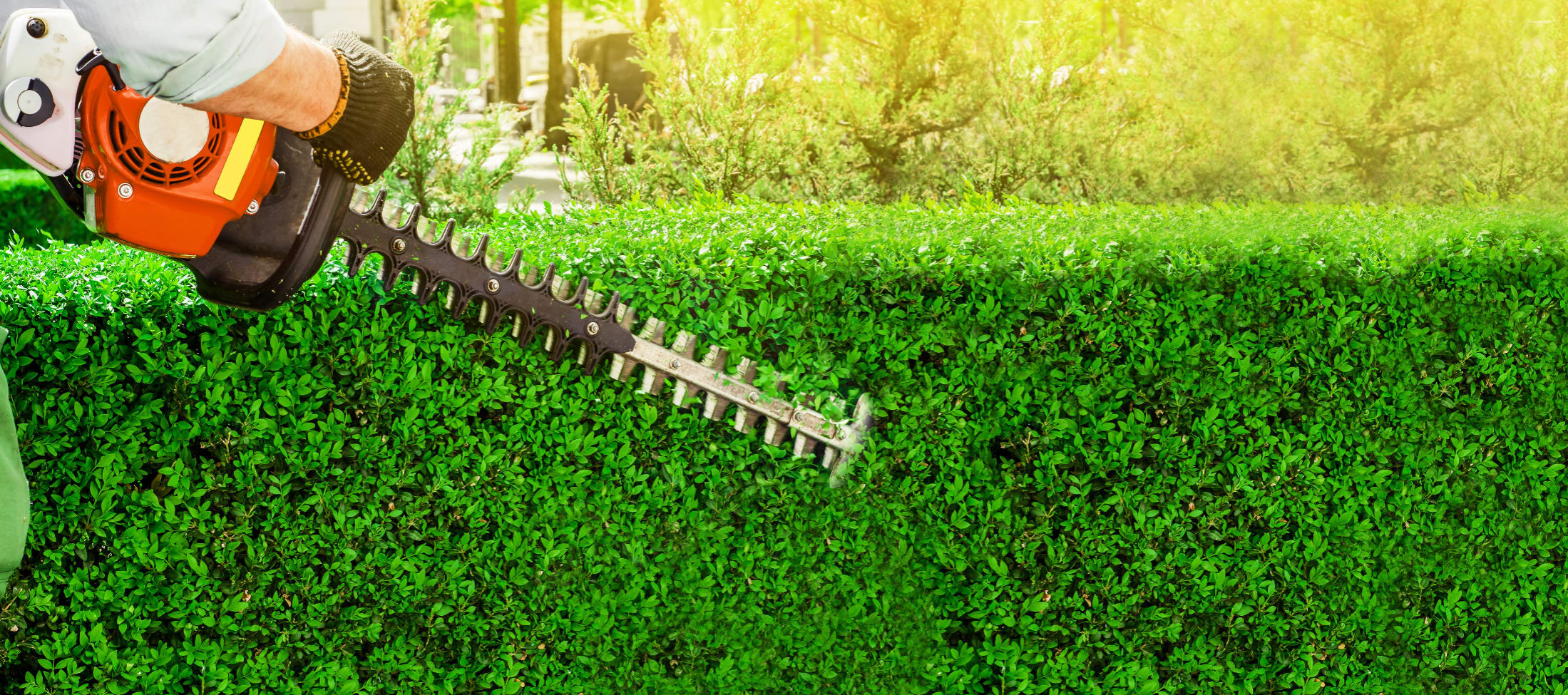 Grass And Hedges Cork Ie, Providing Garden Maintenance, Pressure Washing Services, Hedge Trimming Lawn Care Services, Turfing Services, Artificial Lawn Install